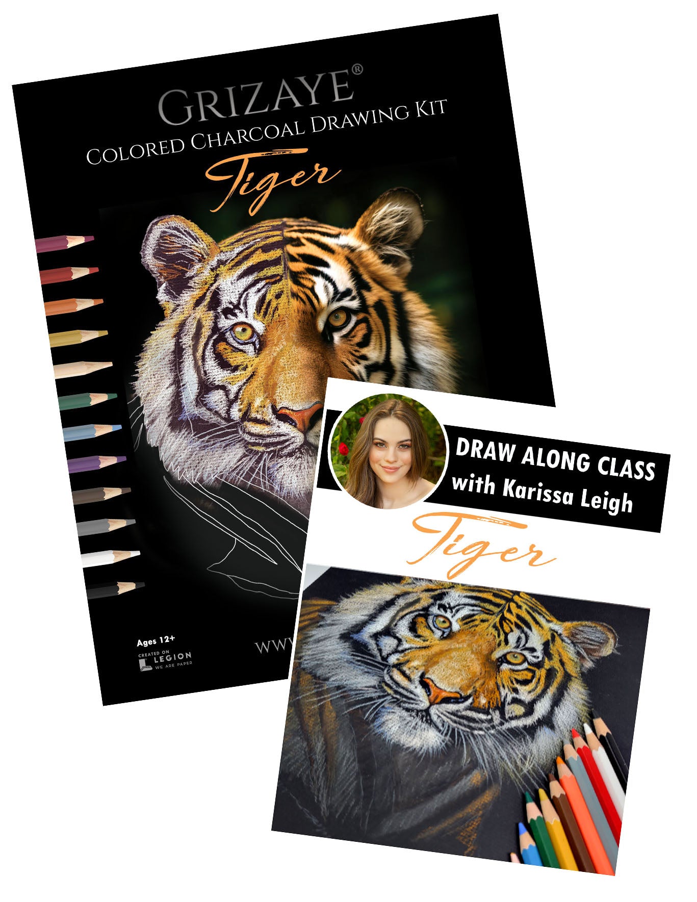 Colored Charcoal Drawing Kit: Tiger