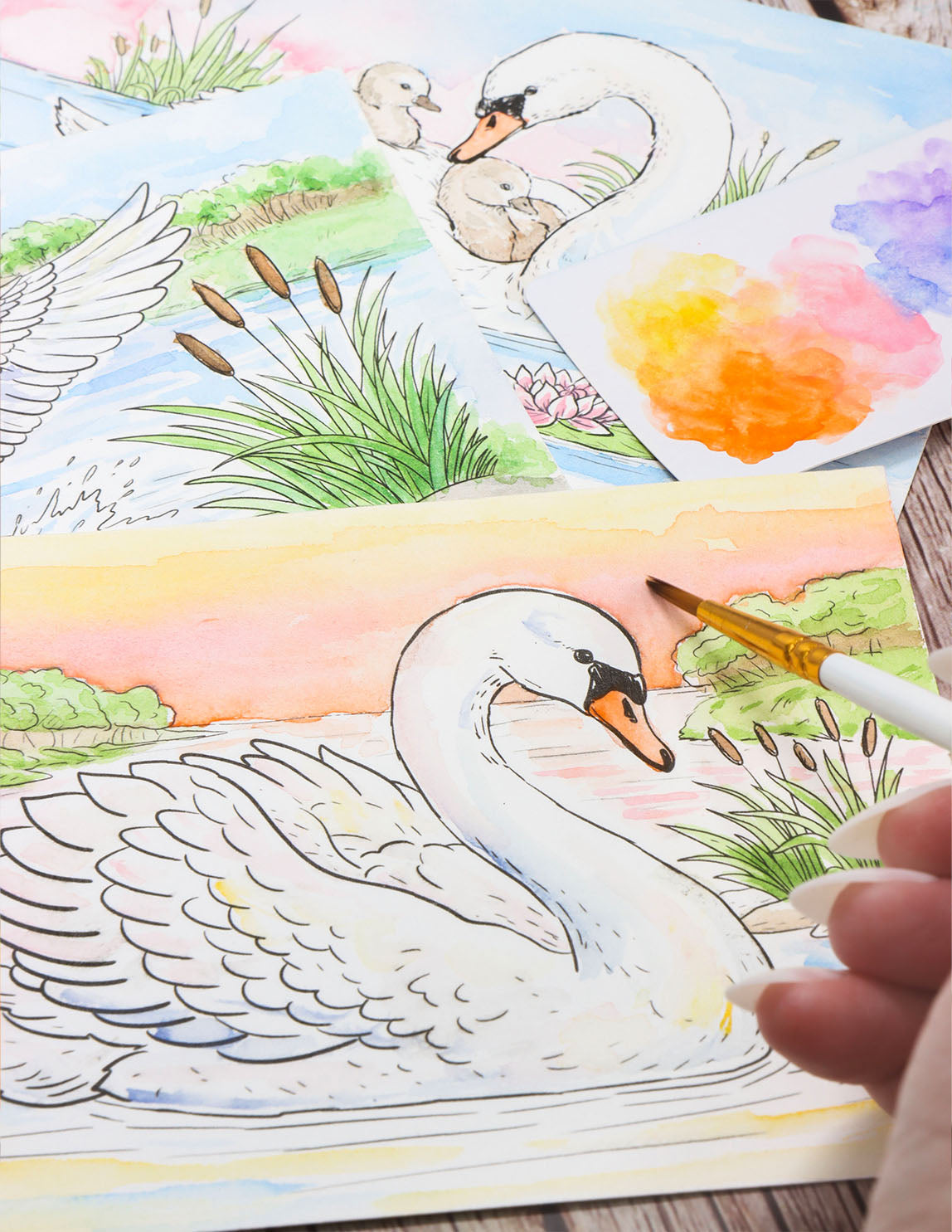 Watercolor Kit: Swan Pond