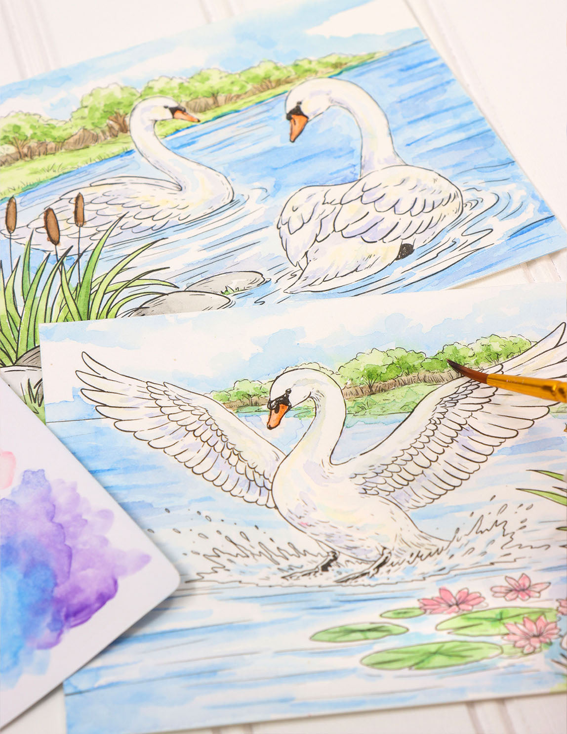 Watercolor Kit: Swan Pond