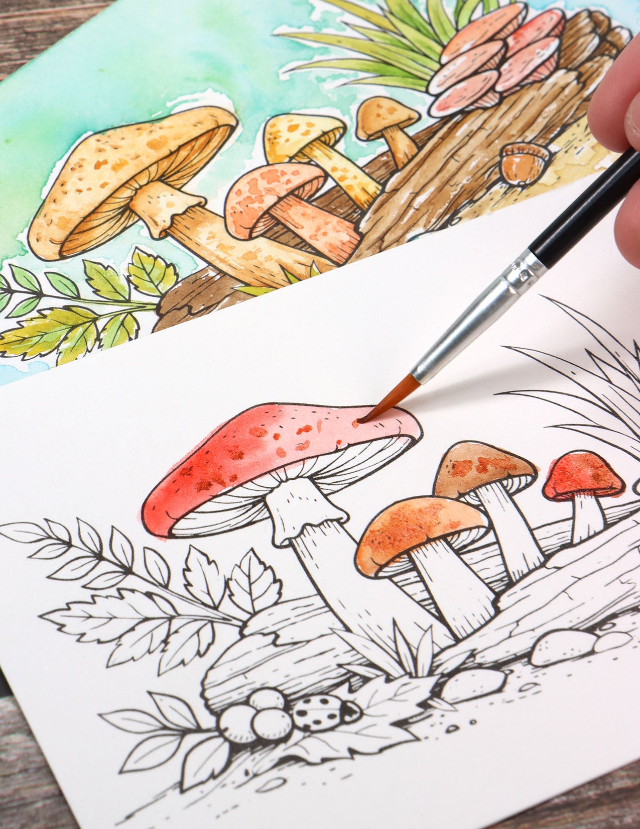 Mini Watercolor Kit: Woodland Mushrooms