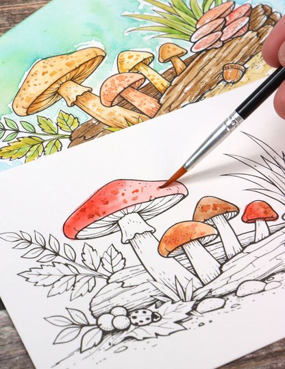 Mini Watercolor Kit: Woodland Mushrooms