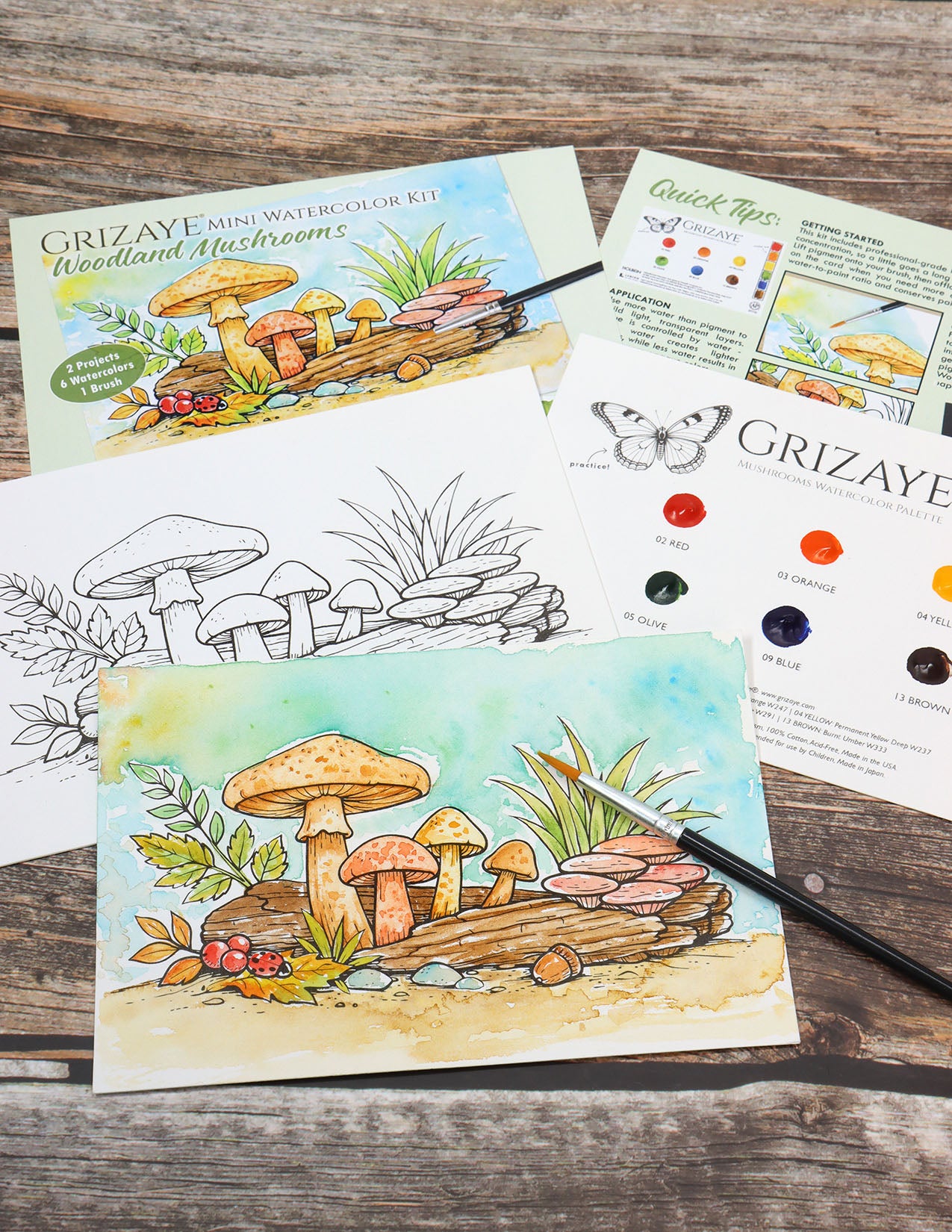 Mini Watercolor Kit: Woodland Mushrooms
