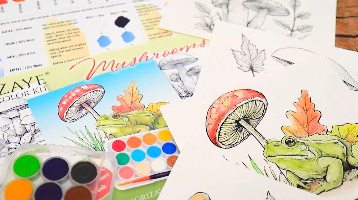 Load video: Drawing Hummingbirds