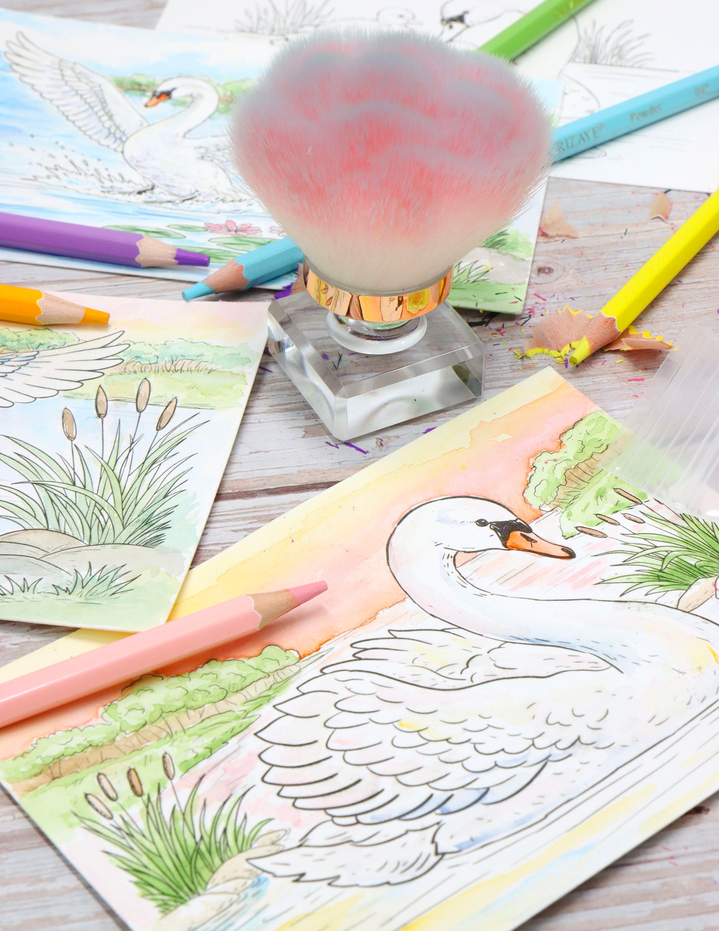 NEW Pastel Collection