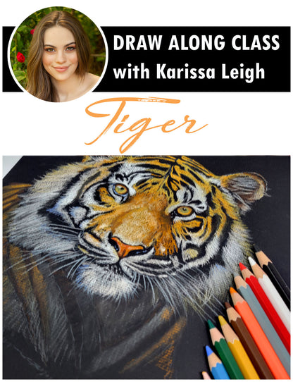 Colored Charcoal Drawing Kit: Tiger