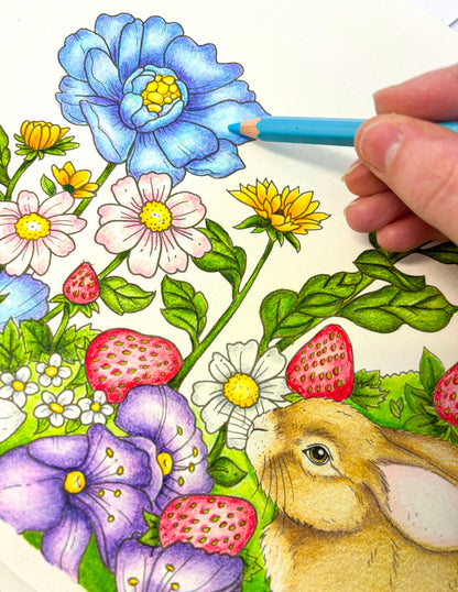 Coloring Kit: Garden Hideaway