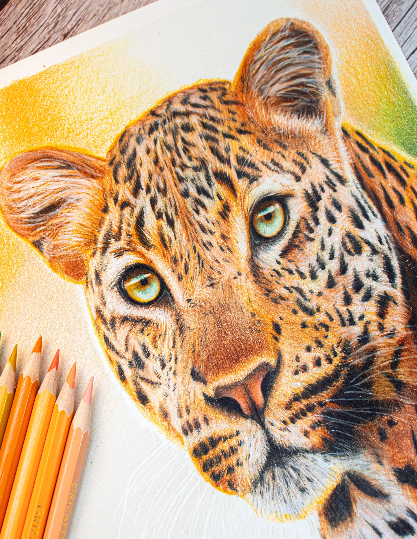 Drawing Kit: Lady Leopard