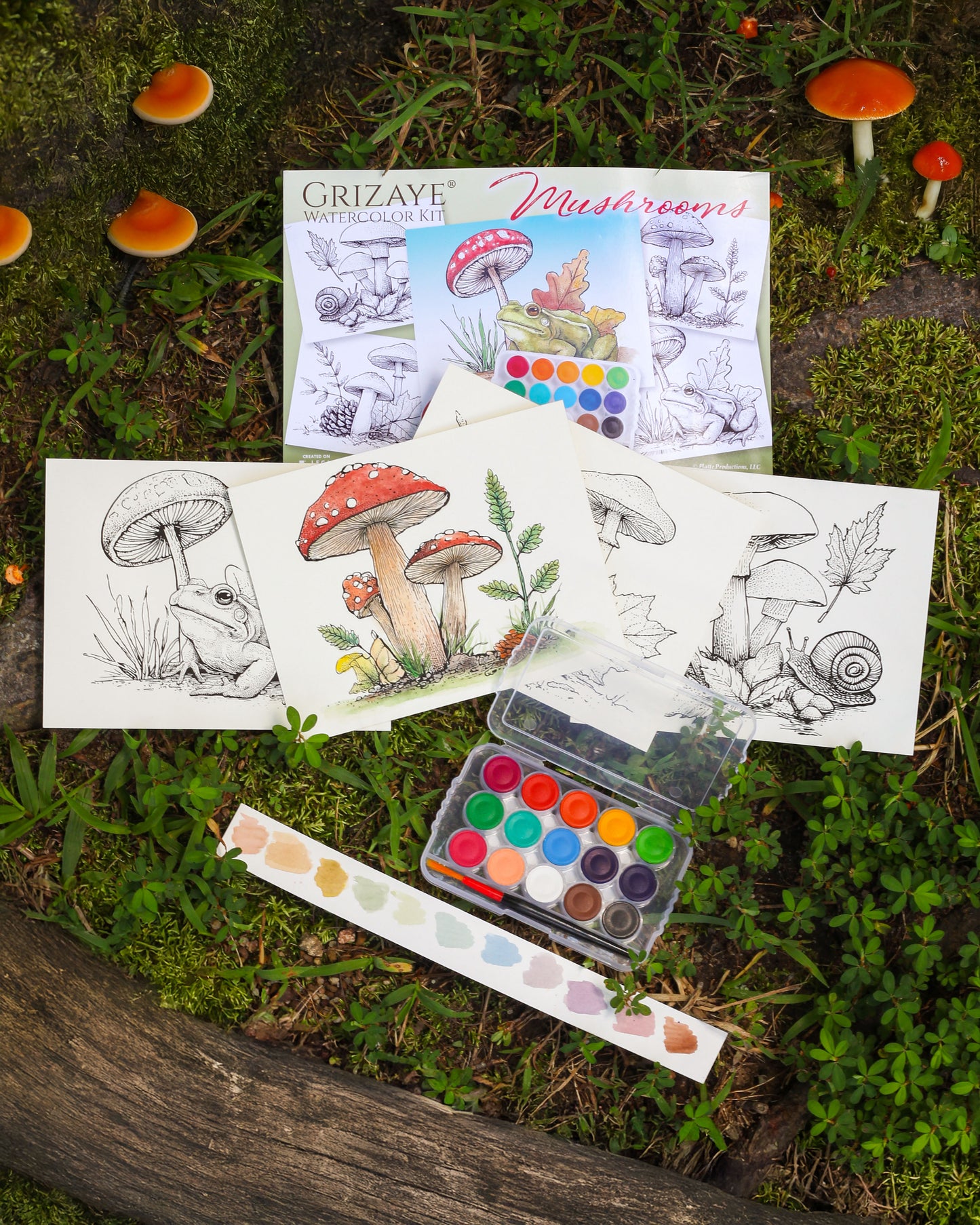 Watercolor Kit: Mushrooms