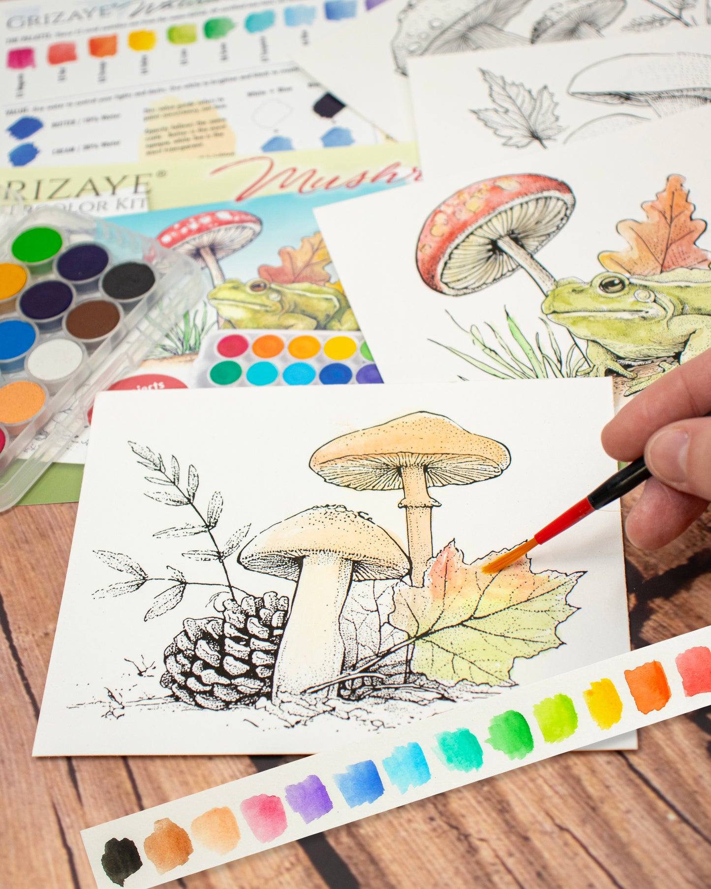 Watercolor Kit: Mushrooms