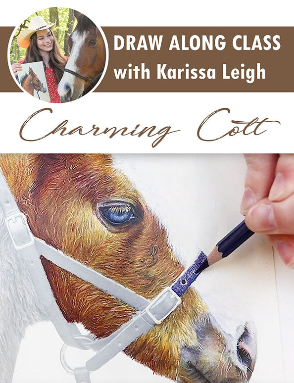 Drawing Kit: Charming Colt