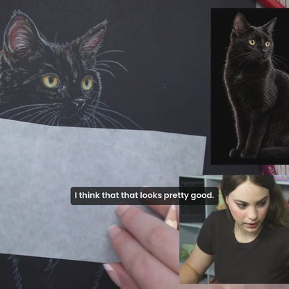 Shadow Cat Drawing Bundle