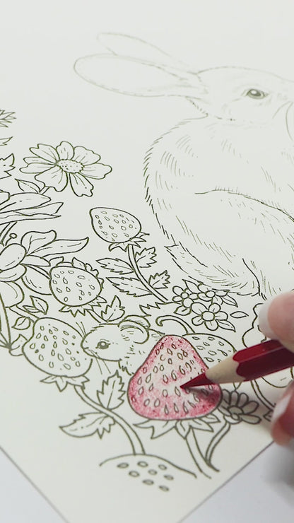 Coloring Kit: Garden Hideaway